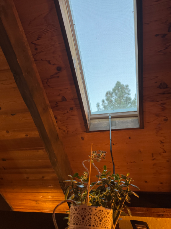 Building Photo - 355 Tramway Dr