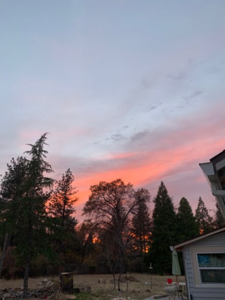 Building Photo - 123 Adam Ave