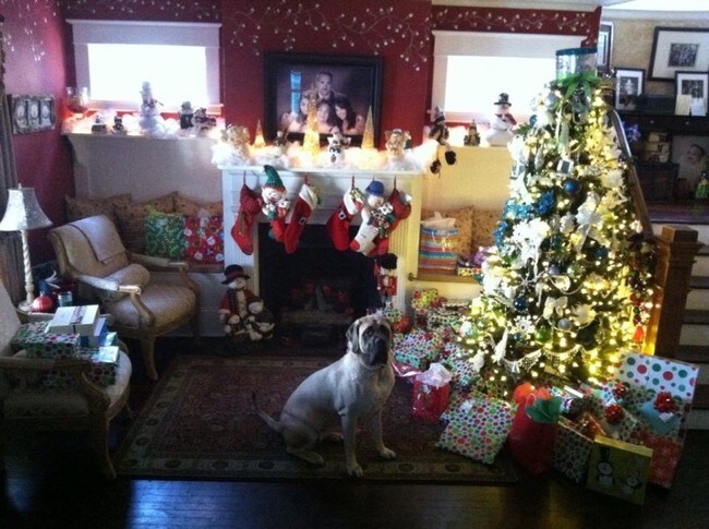 Building Photo - 1110 Waverly Pl