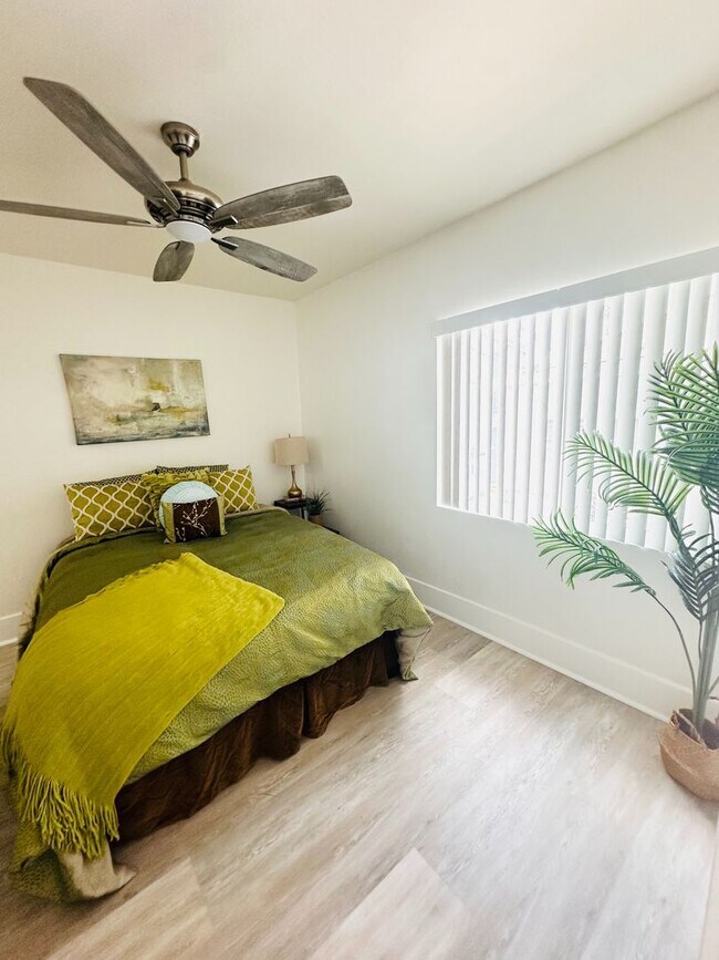 Building Photo - ? Stunning Brand-New Cottage in the Heart of North Park! ?