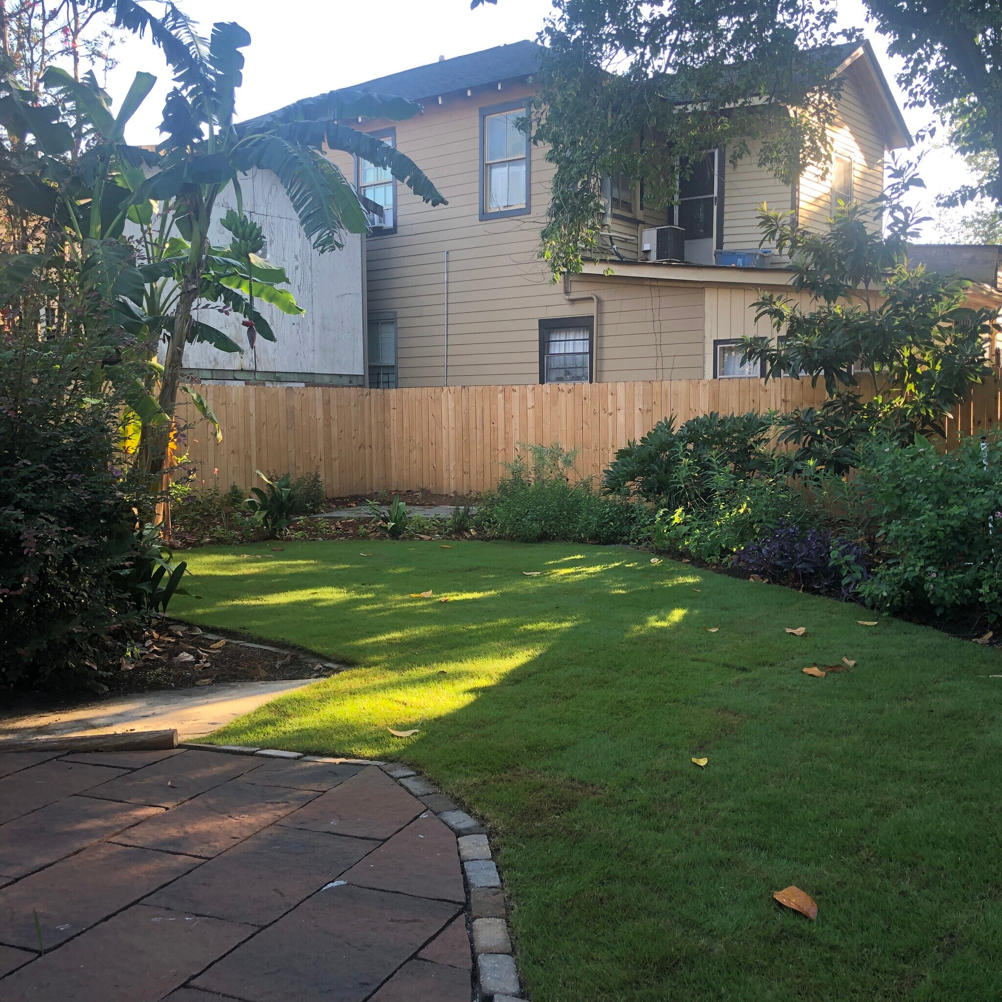 Back Yard - 1146 King St