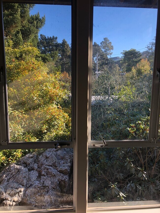 Building Photo - Lovely 3/2 home in the hills of El Cerrito with breathtaking views of the bay!