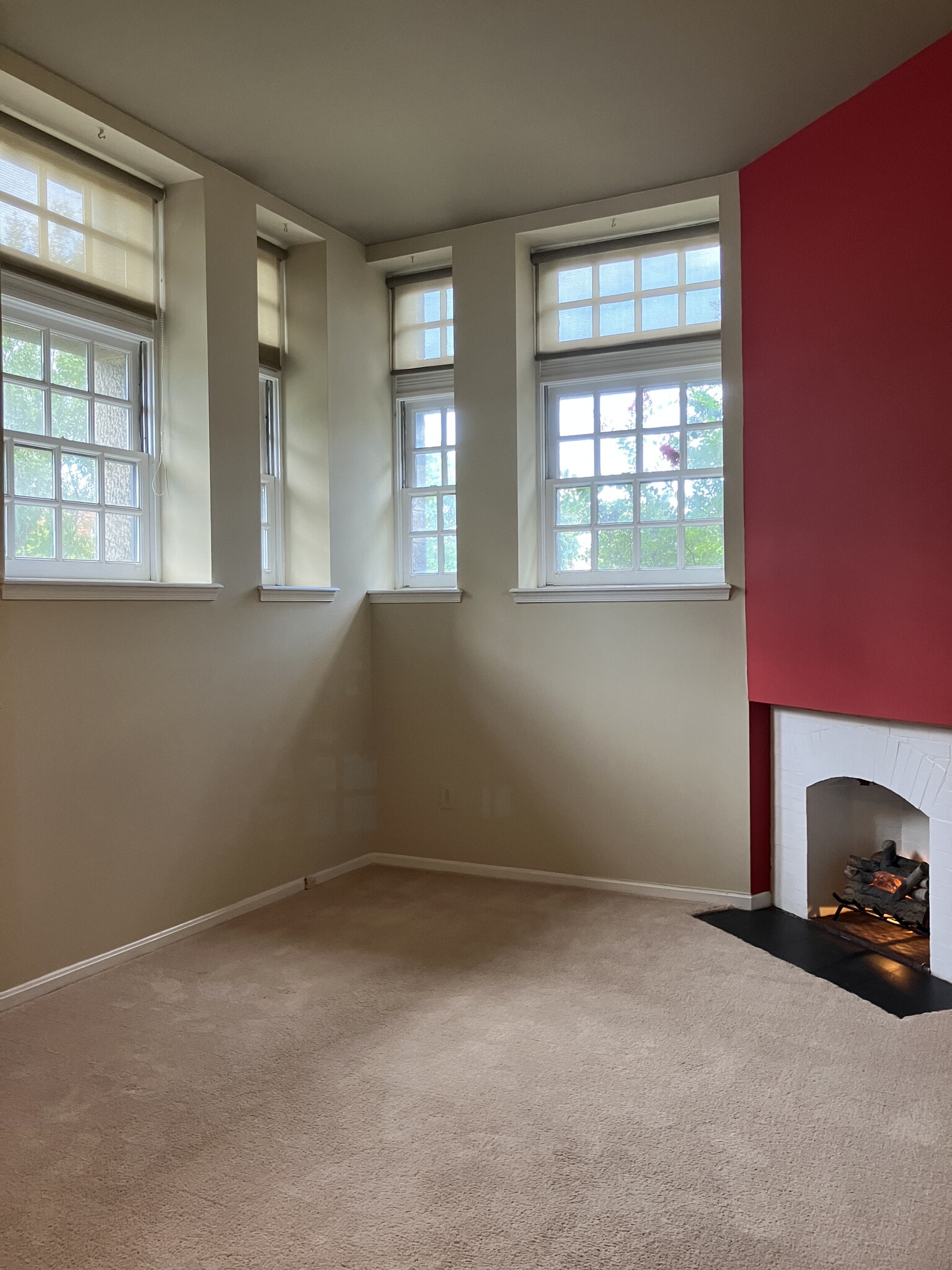 living/fireplace - 1714 Park Ave