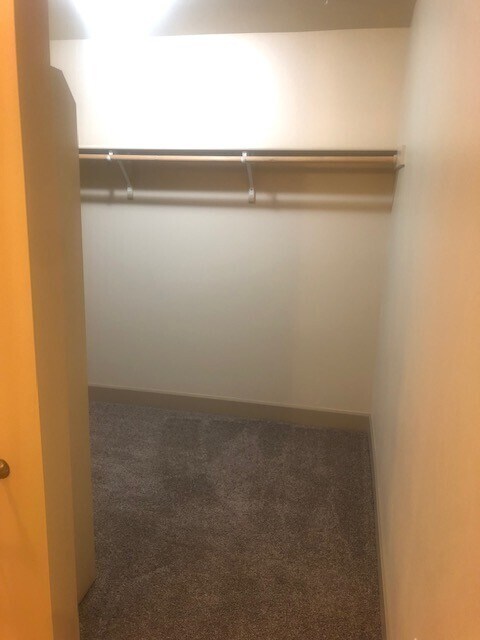 Building Photo - Exceptional 2bed/2bath @ Hyde Park! Availa...