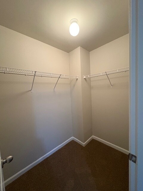 Building Photo - 314 Nutwood Trce