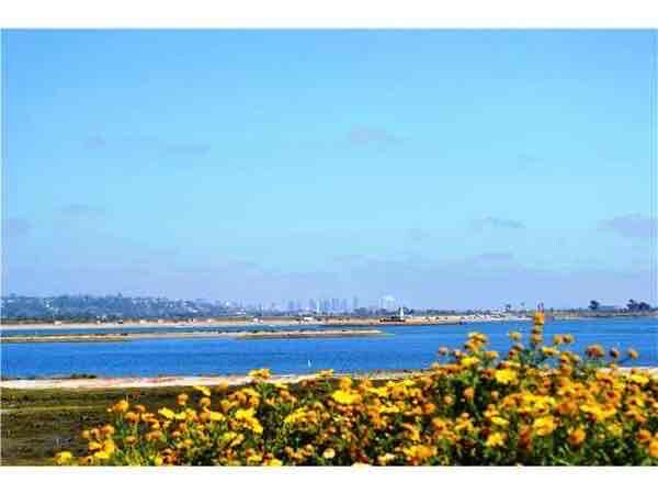 Building Photo - 2120 Grand Ave