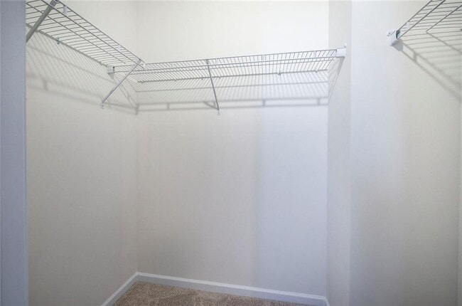 Building Photo - 503 Ozark Ln