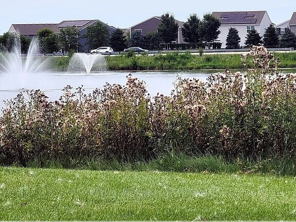 Building Photo - 651 Anchorage Ct