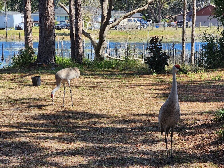 Building Photo - 2033 Quintilis Ct