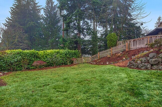 Backyard - 16025 Lake Hills Blvd