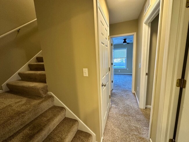 Building Photo - Updated 5-BR, 2-BA Apartment by the U of M Available!