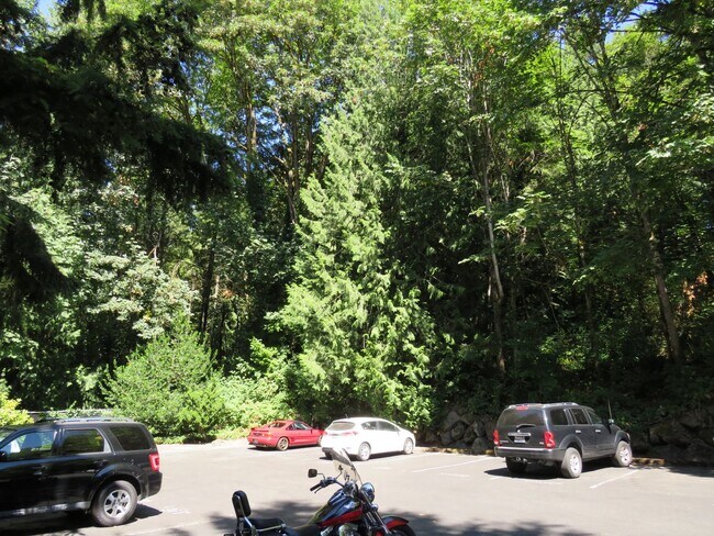 Building Photo - Totem Lake Cute 1bed/1bath ground floor Condo! $1695.00