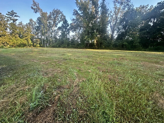 Building Photo - 11161 Soape Rd