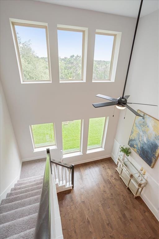 Building Photo - 3128 Desert Shade Bnd