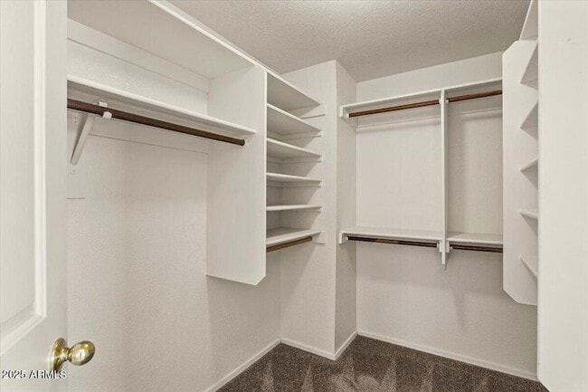 Building Photo - 5709 E Gelding Dr