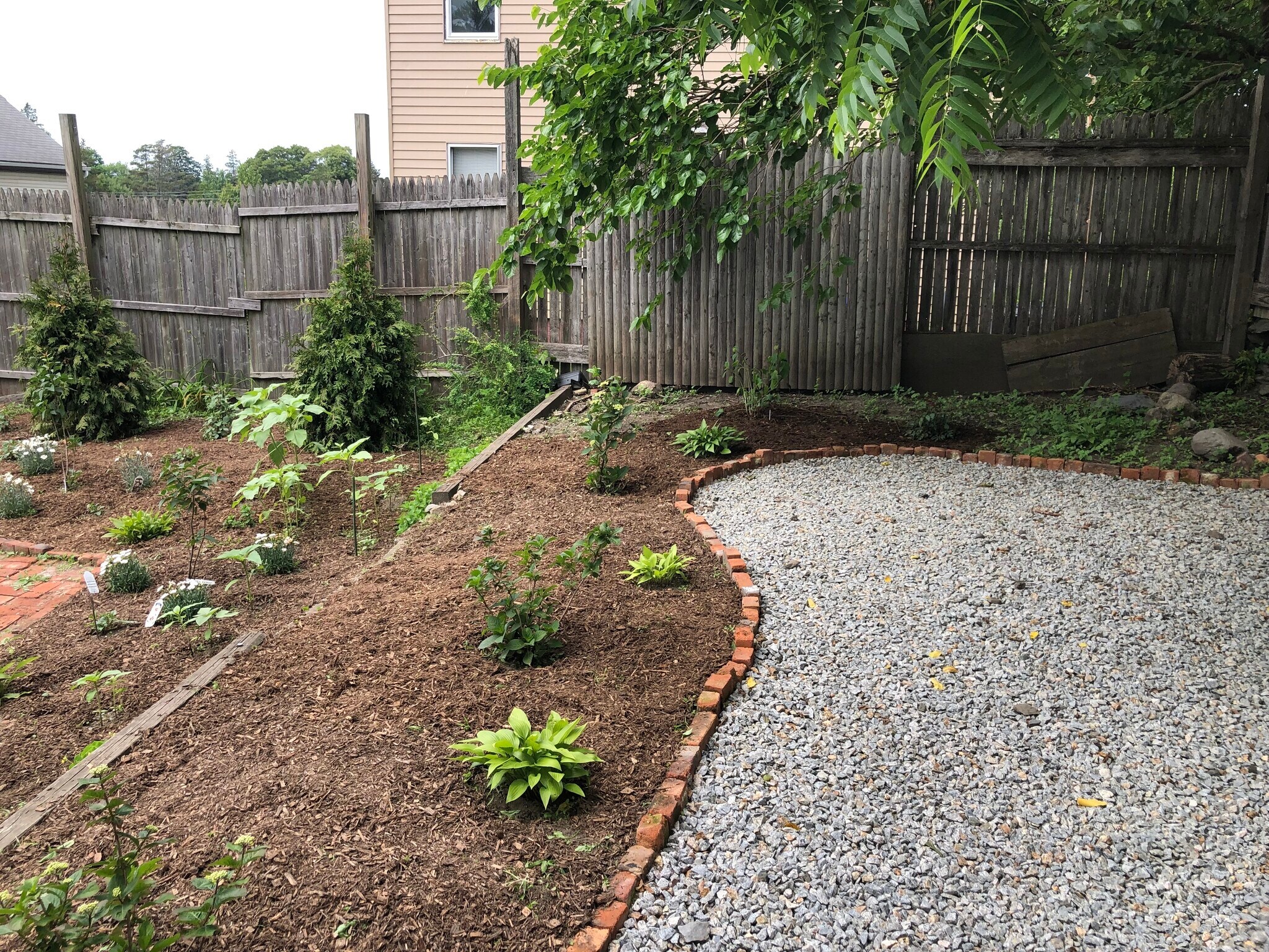 Yard and Private Seating Area - 30 Royal St