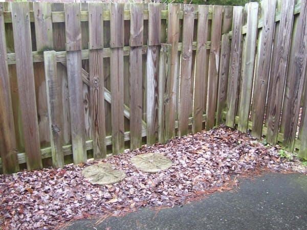 Building Photo - VILLAGE SQUARE