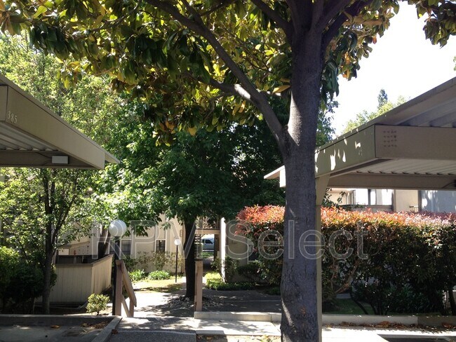 Building Photo - 385 Camelback Rd