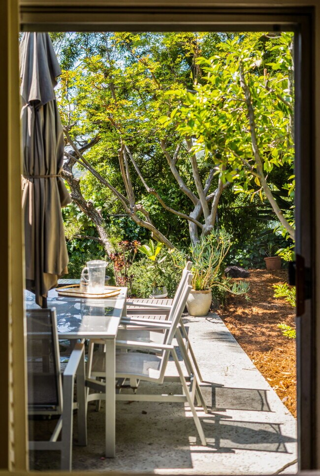 Backyard - 11411 Dona Pegita Dr