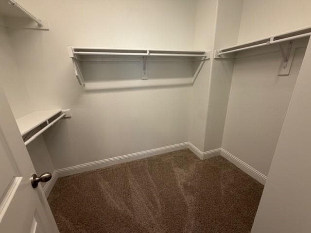 Building Photo - 3537 Treasure Dr