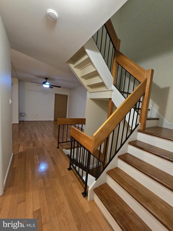 Building Photo - 11721 Newbridge Ct