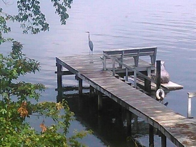 Building Photo - 4678 Kiser Island Rd