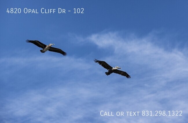 Building Photo - panoramic beach view 1 bed 1 bath minutes ...