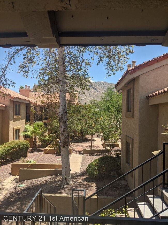 2 br, 2 bath House 8255 N Oracle Rd Apt 210 8255 N Oracle Rd Tucson