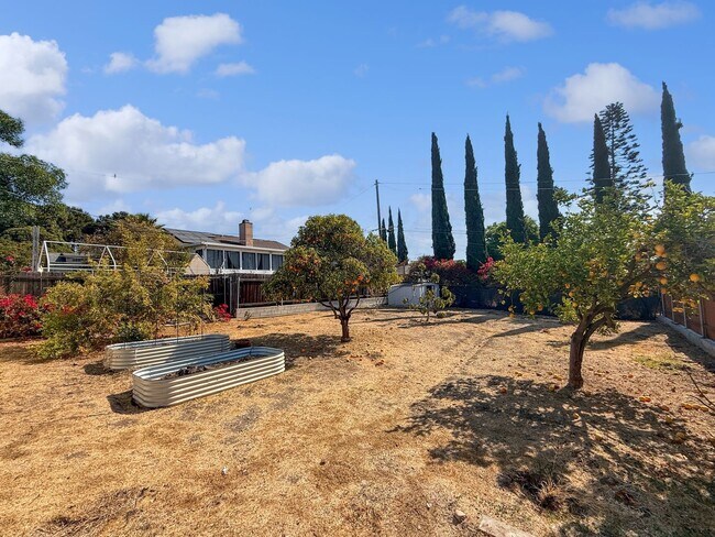 Building Photo - Charming 3BR Home with Expansive Backyard ...