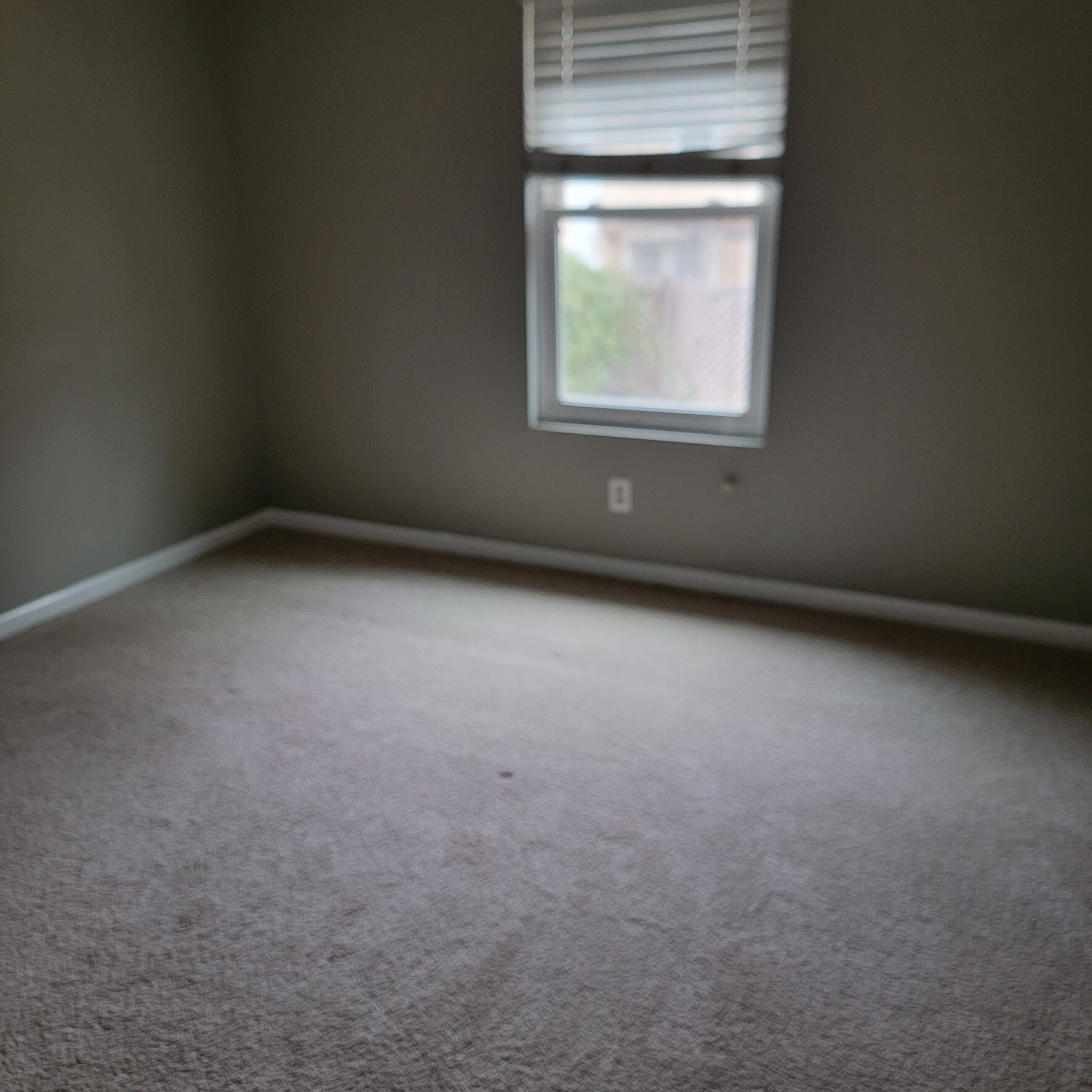 Building Photo - 3679 Blackshear Ct