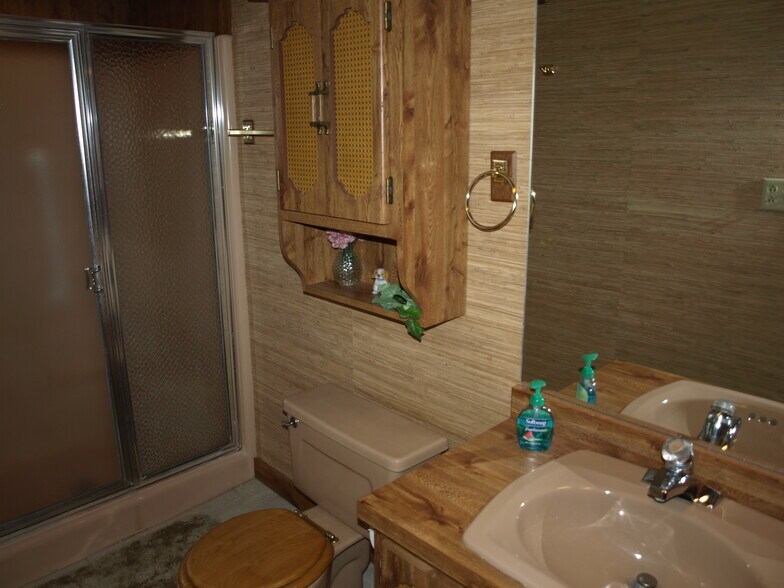 Basement shower - 275 Lincoln Hall Rd