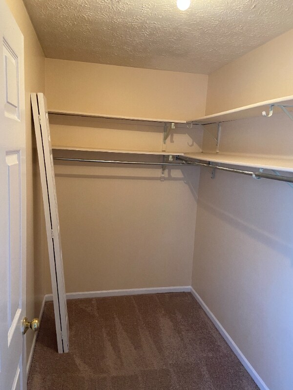Building Photo - 3134 High Ridge Dr