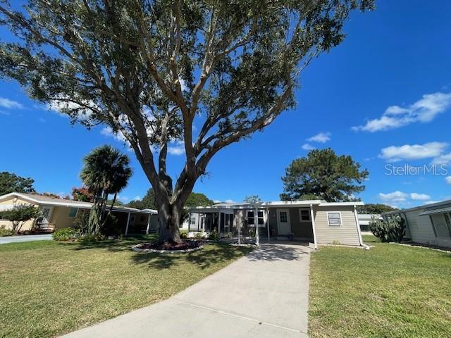 Primary Photo - 909 Orchid St