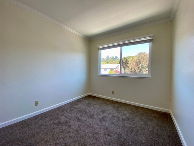 Building Photo - Newly Renovated Condo with NEW KITCHEN! - ...