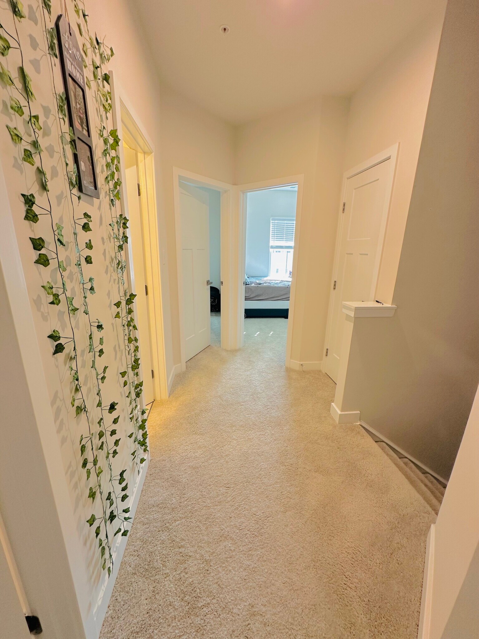 Building Photo - 50 Dolcie Ln