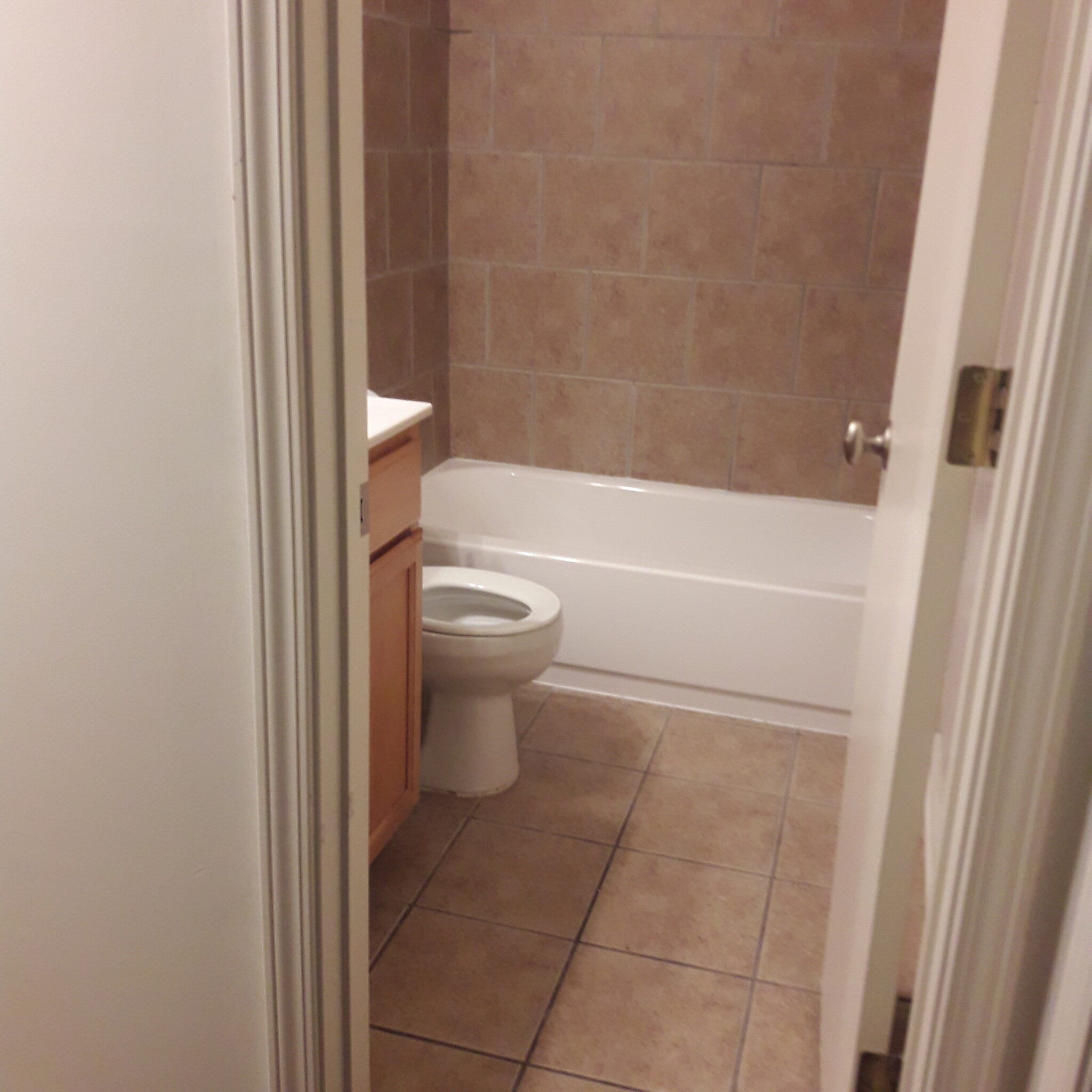 Guest Bath - 1809 Adair Bridge Cv