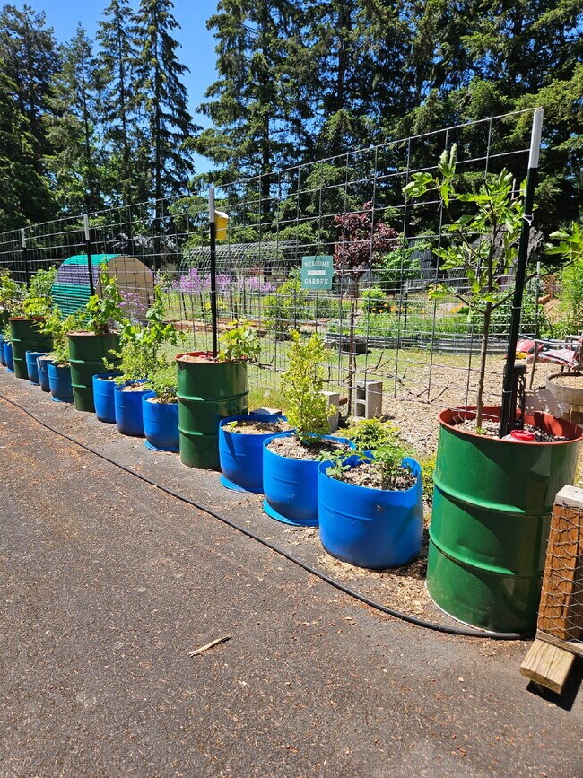 Building Photo - Country Comfort Meets Modern Living-Spacious 3BR Home with Shop and Hot Tub