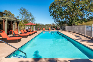 Building Photo - Crooked Oak at Loma Verde Preserve Apartme...