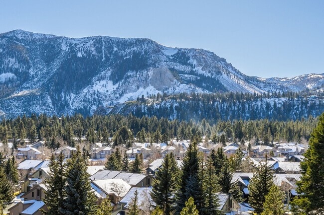 Building Photo - Mountain View Haven