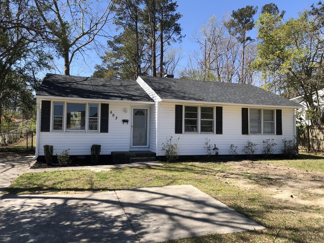 Primary Photo - 503 Henderson Dr