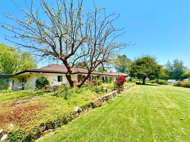 Building Photo - 1650 Winterwarm Dr