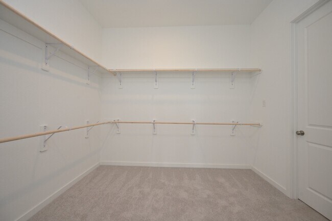 Building Photo - 26223 Yellow Sage Ln