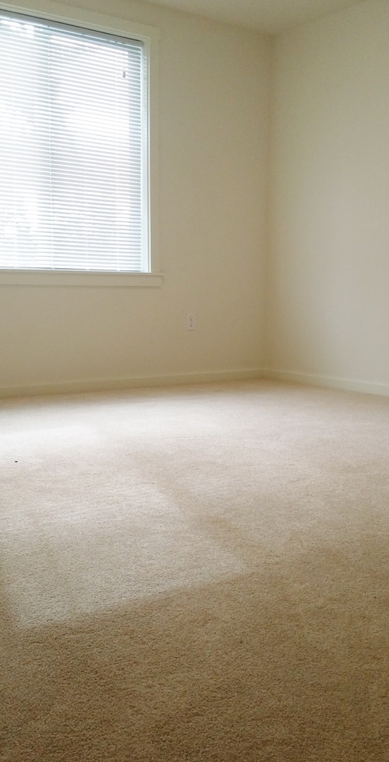 Building Photo - 3BD/1.5BA Shoreline Cottage