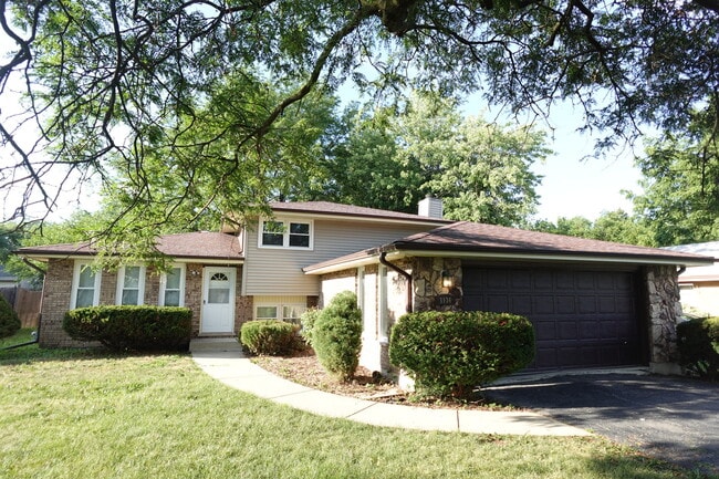 Building Photo - 3136 Olive Rd