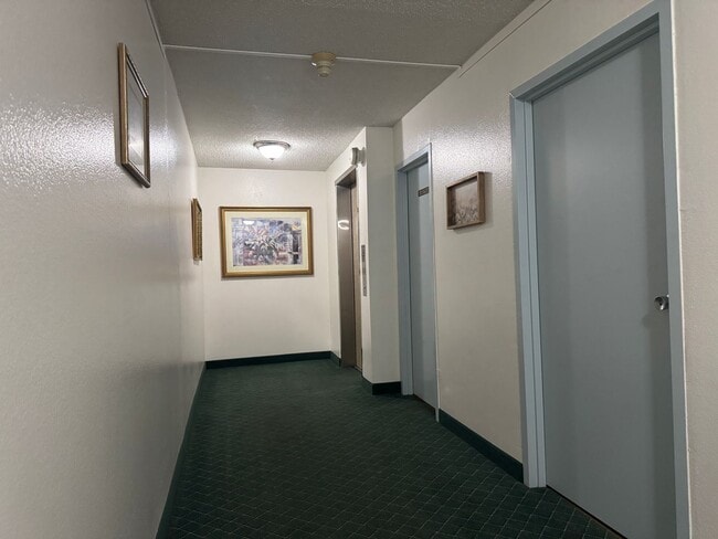 Building Photo - Top Floor Oasis