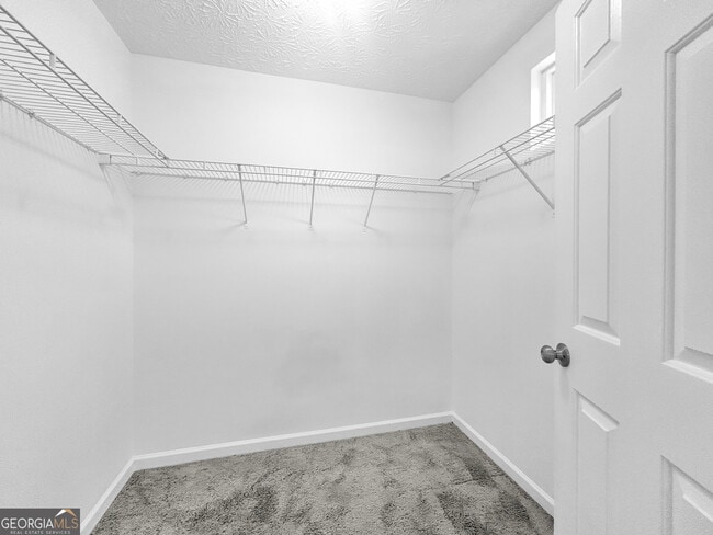 Building Photo - 206 Ilex Dr