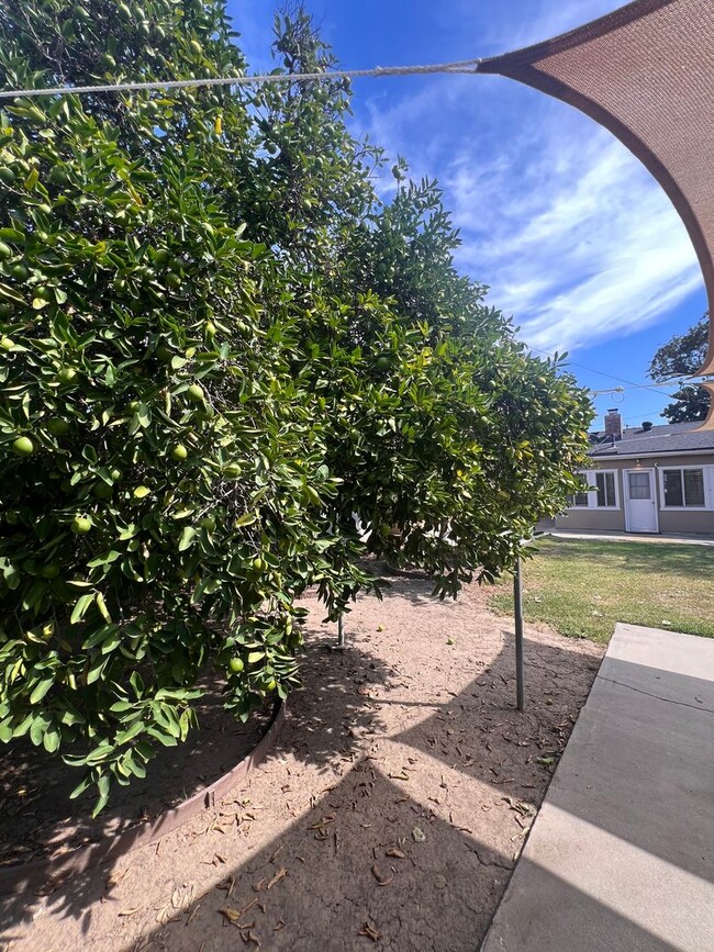 Building Photo - Charming 3-Bedroom Home in Whittier, CA!