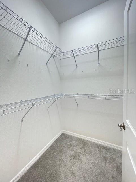 Building Photo - 1818 Cole Pl