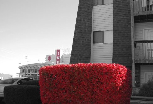 Building Photo - Dunnhill Apartments