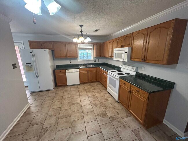 Building Photo - 111 Sunnyfield Dr